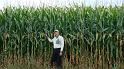 Me-In 10' Corn